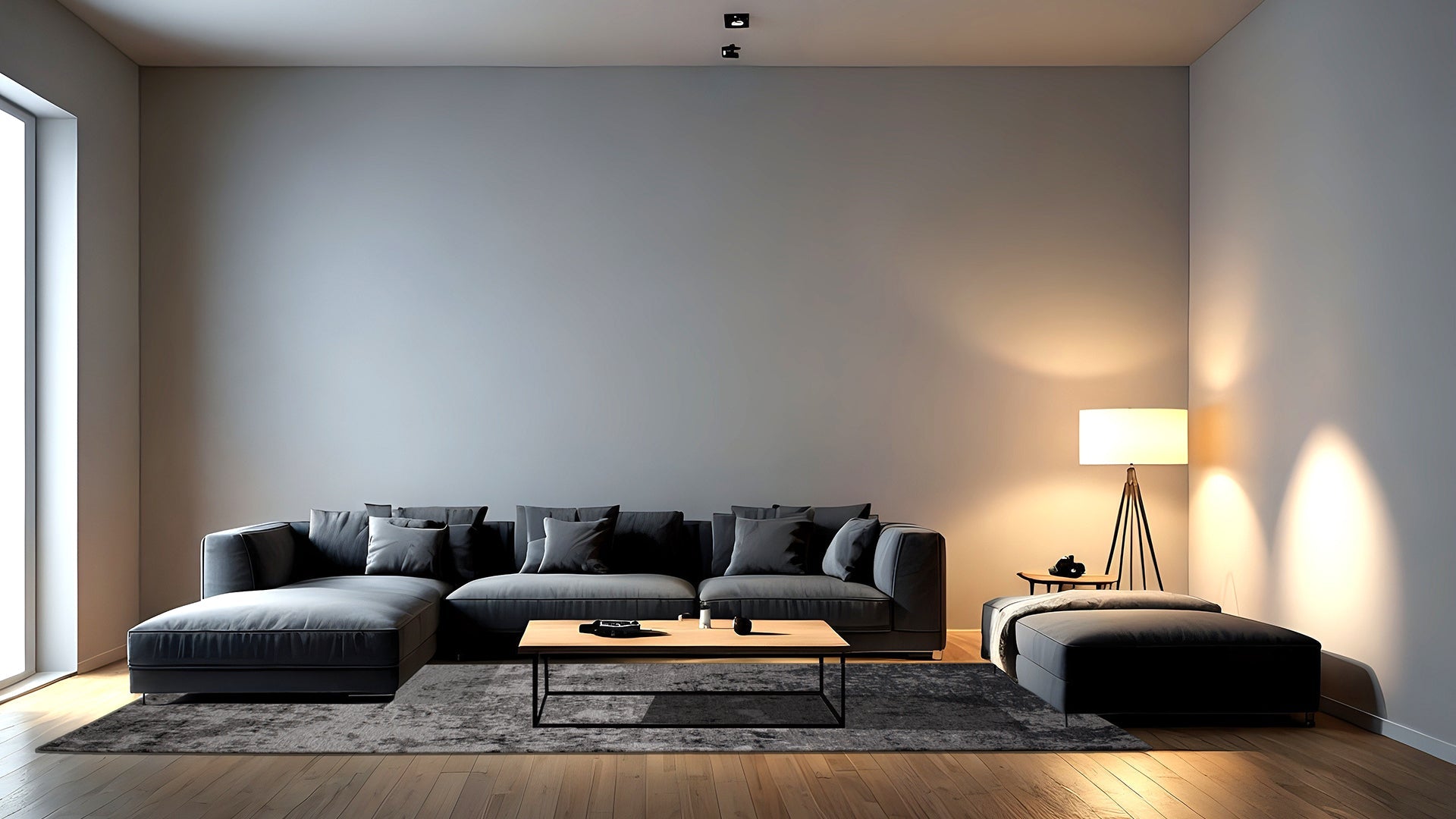 Misura 80x150